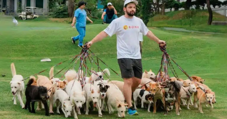 record cani portati spasso