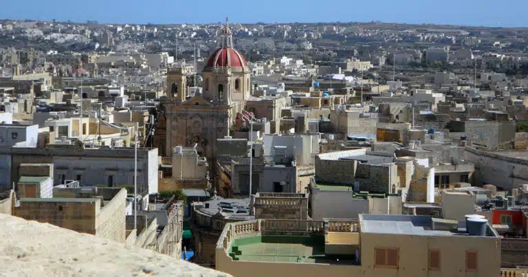 Marocco ucciderà tre milioni di cani randagi?