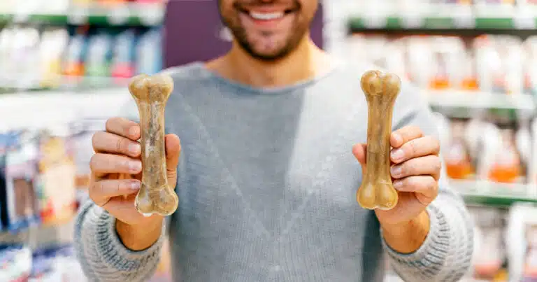 Cani colpiti da sntomi neurologici