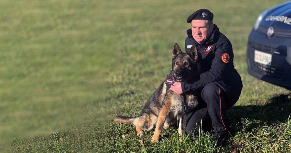 Cane carabiniere va in pensione dopo anni di servizio antidroga