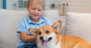 ansai nei bambini in ospedale la pet therapy può ridurla