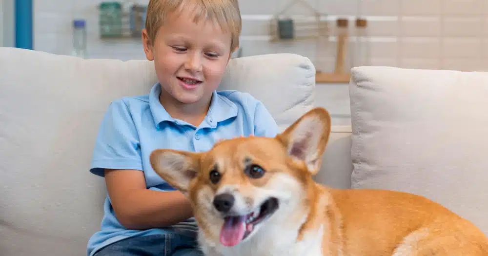 ansai nei bambini in ospedale la pet therapy può ridurla