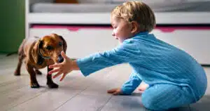 Cani e bambini patentino obbligatorio?