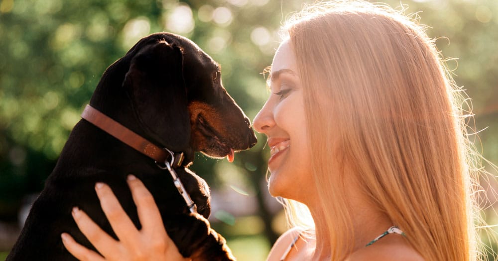 emozioni del cane