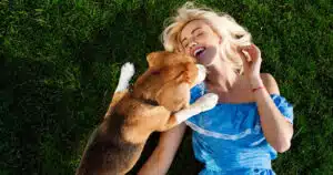 giornata internazionale della felicità cani