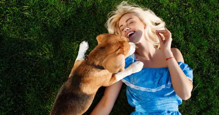 giornata internazionale della felicità cani