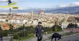 Morto Geremy cane antidroga. La Guardia di Finanza di Firenze lo ricorda con commozione