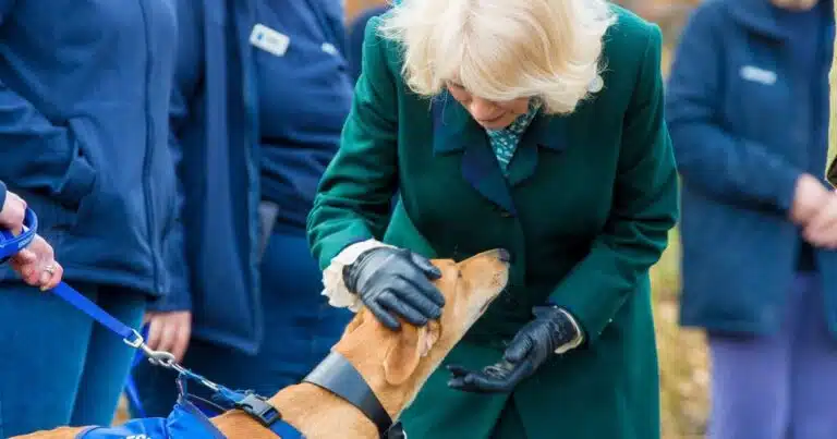 regina camilla ha adottato cucciolo