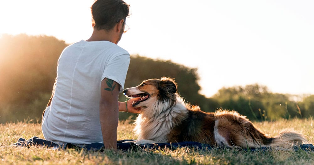 Una startup allungherà la vita dei nostri cani?