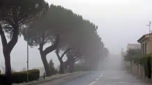 venti forti in arrivo