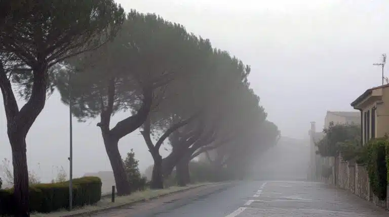 venti forti in arrivo