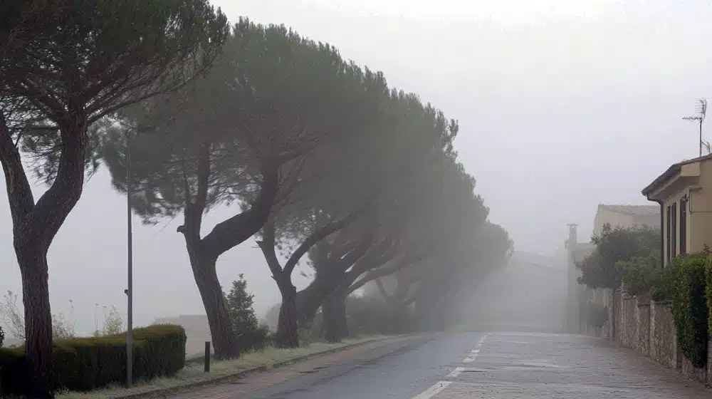 venti forti in arrivo