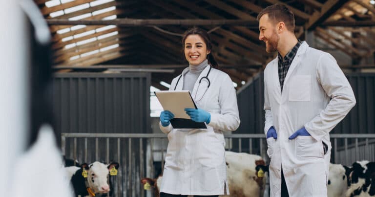 violenza contro i veterinari della pubblica sanità