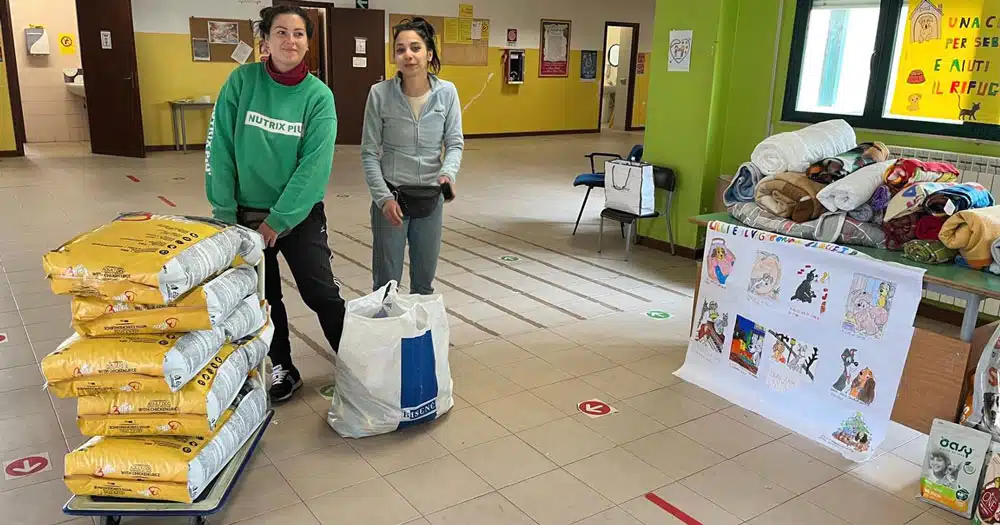 Bambini aiutano cani del rifugio