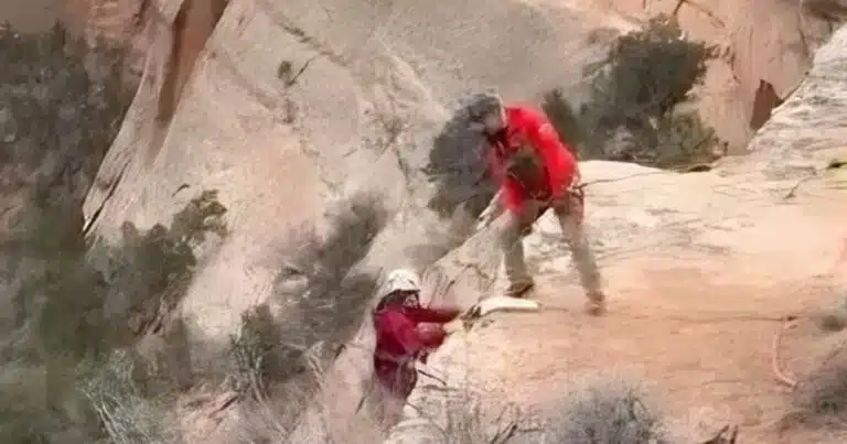 cane cade in un canyon il video dello straordinario salvataggio