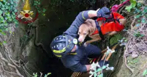 cane caduto in un pozzo salvato dai vigili del fuoco