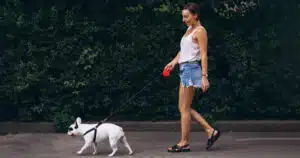 daspo cinofilo urbano la legge è in parlamento