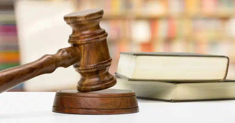 cani tra gli escrementi condannato