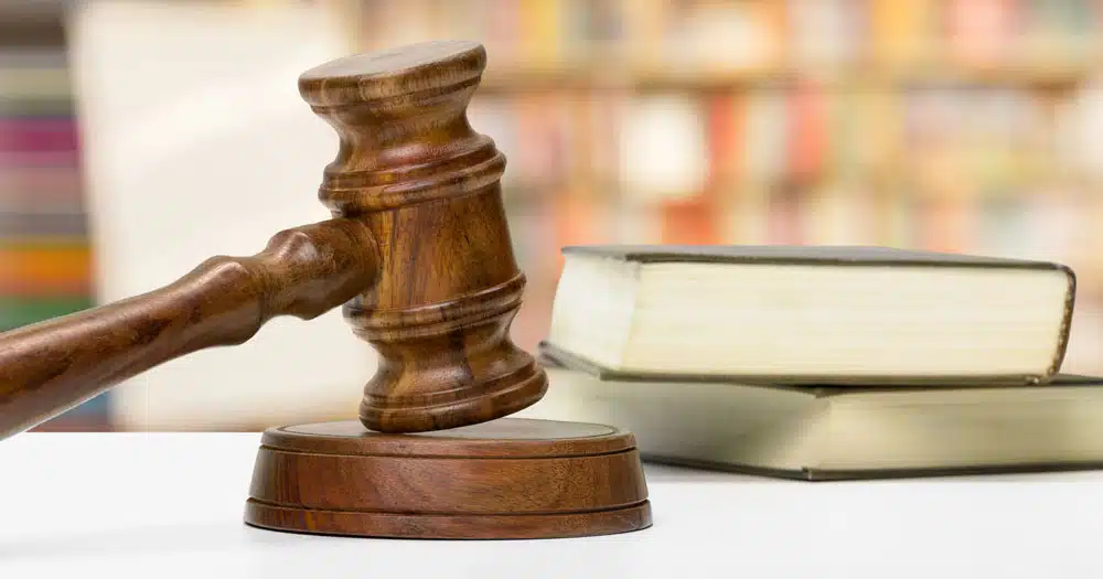 cani tra gli escrementi condannato