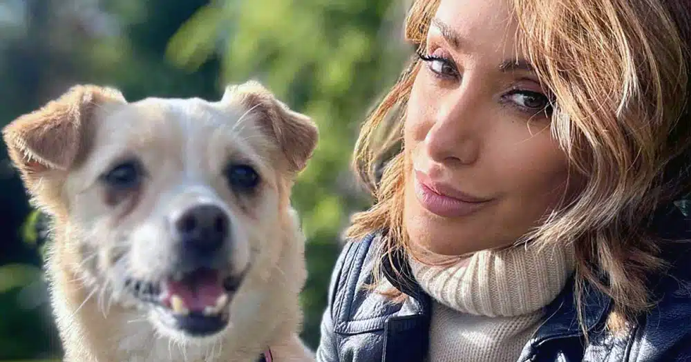sabrina salerno adottare un animale salvare un cane, botolo nuvola