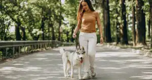 camminare con il cane