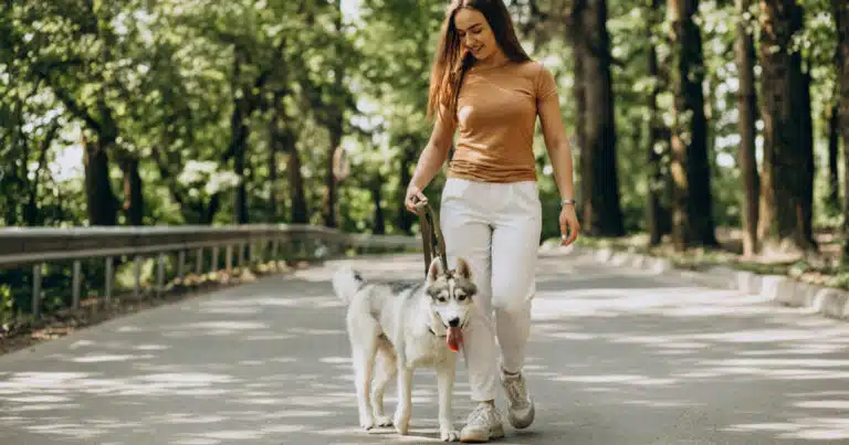 camminare con il cane