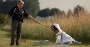 il cane che salva le api maple