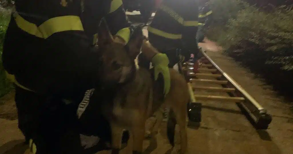 cane scivola nel fiume mella gardone valtrompia