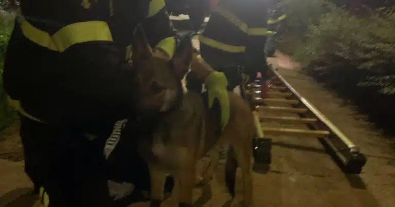 cane scivola nel fiume mella gardone valtrompia
