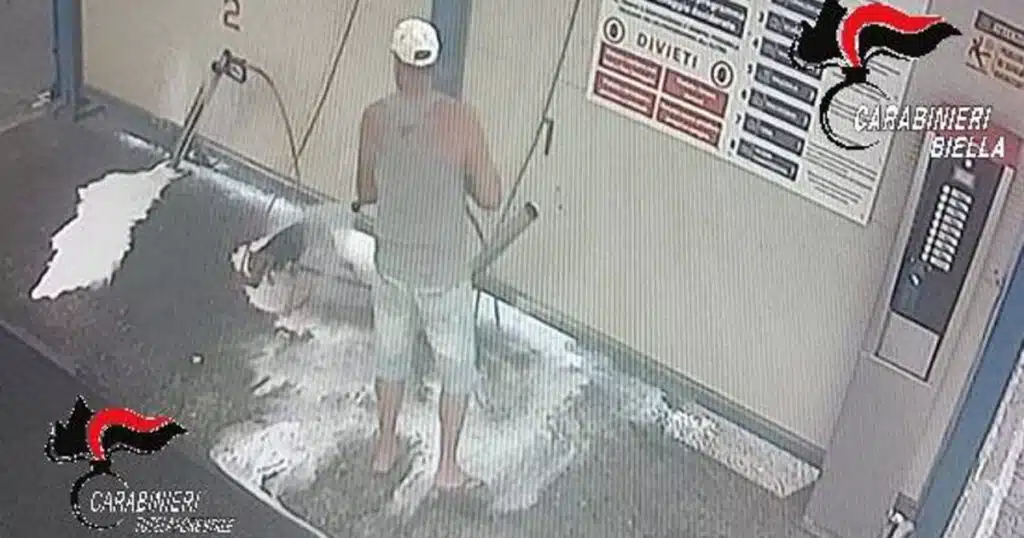 lava cane autolavaggio biella