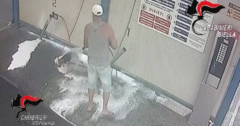 lava cane autolavaggio biella