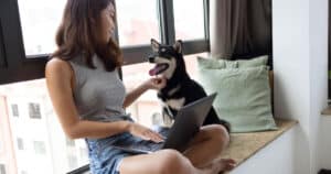 perché il cane ti segue ovunque in casa