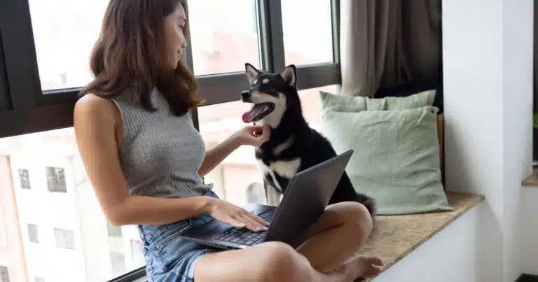 perché il cane ti segue ovunque in casa
