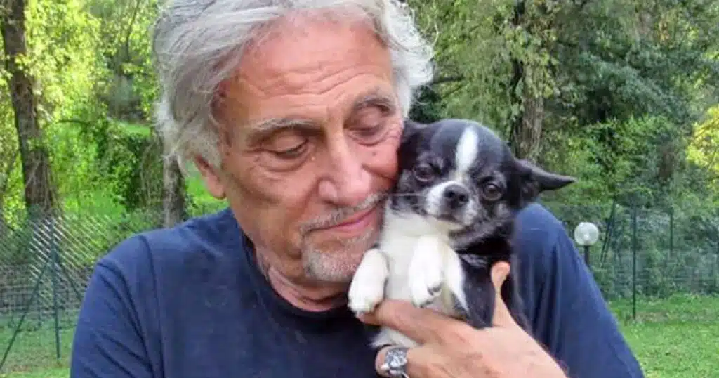 andrea roncato animali