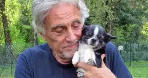 andrea roncato animali