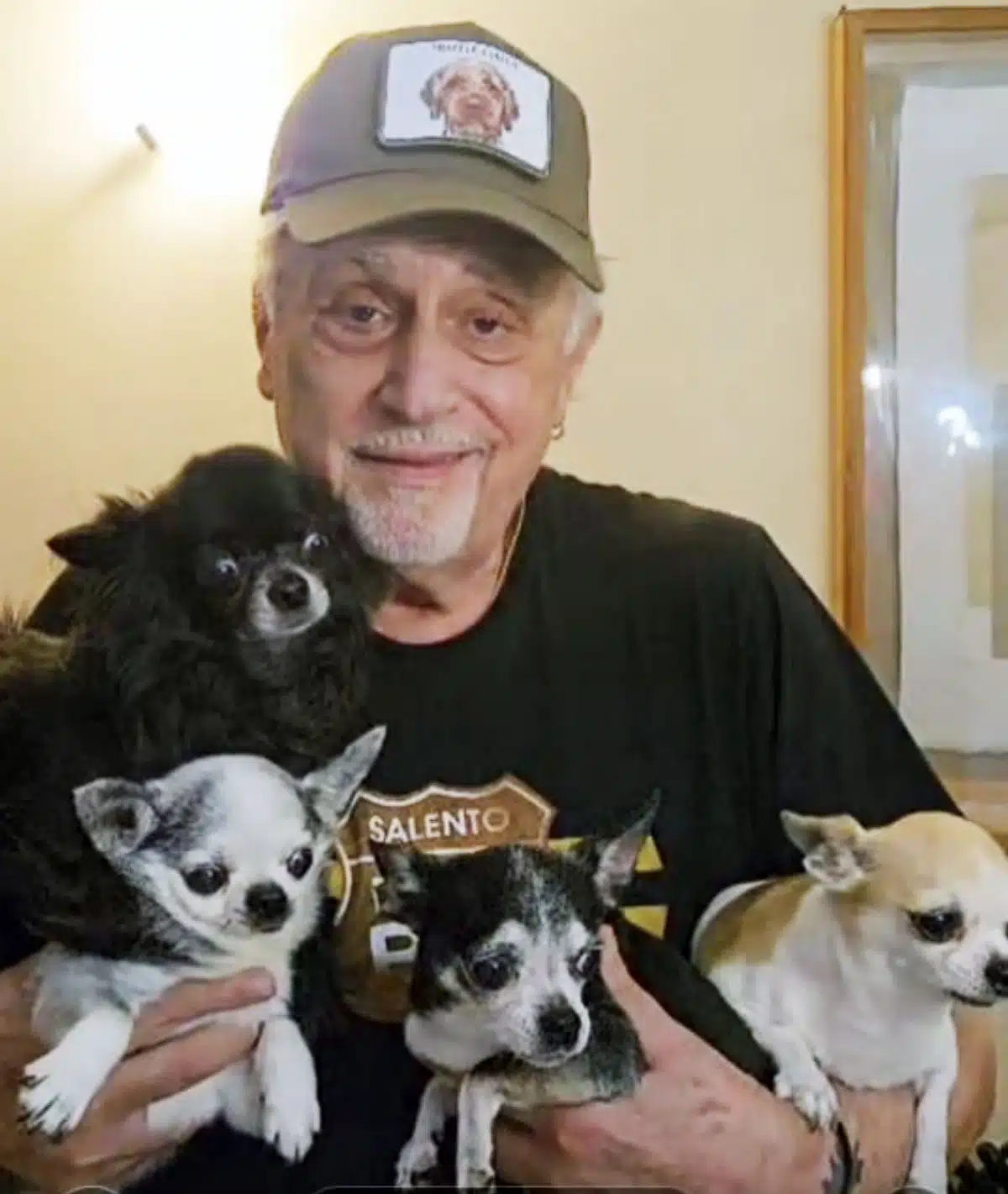 andrea roncato animali cani