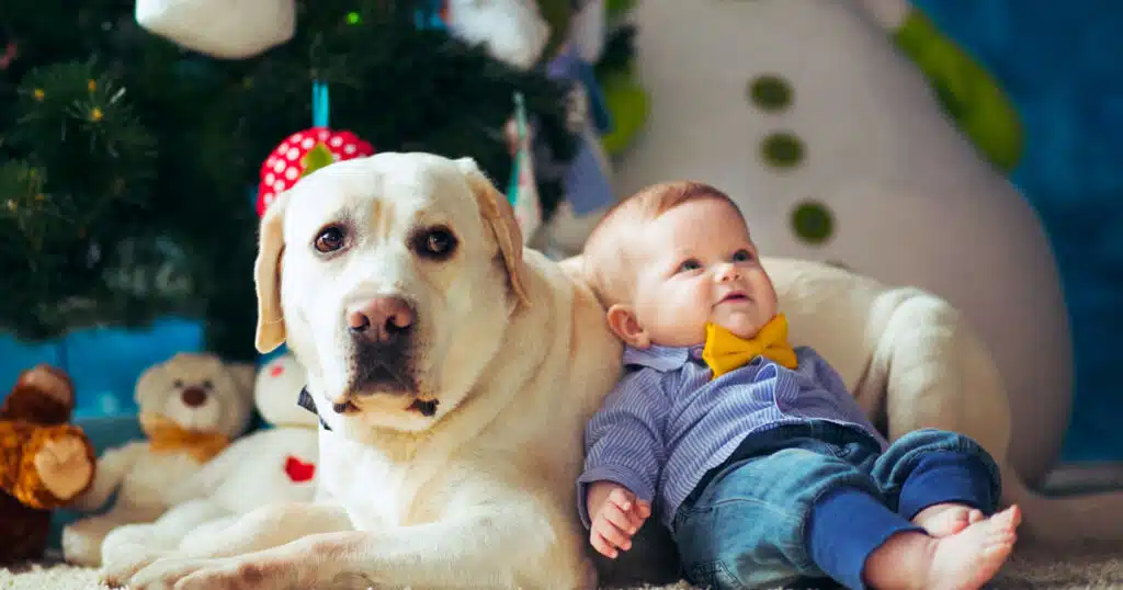 asma nei neonati cane