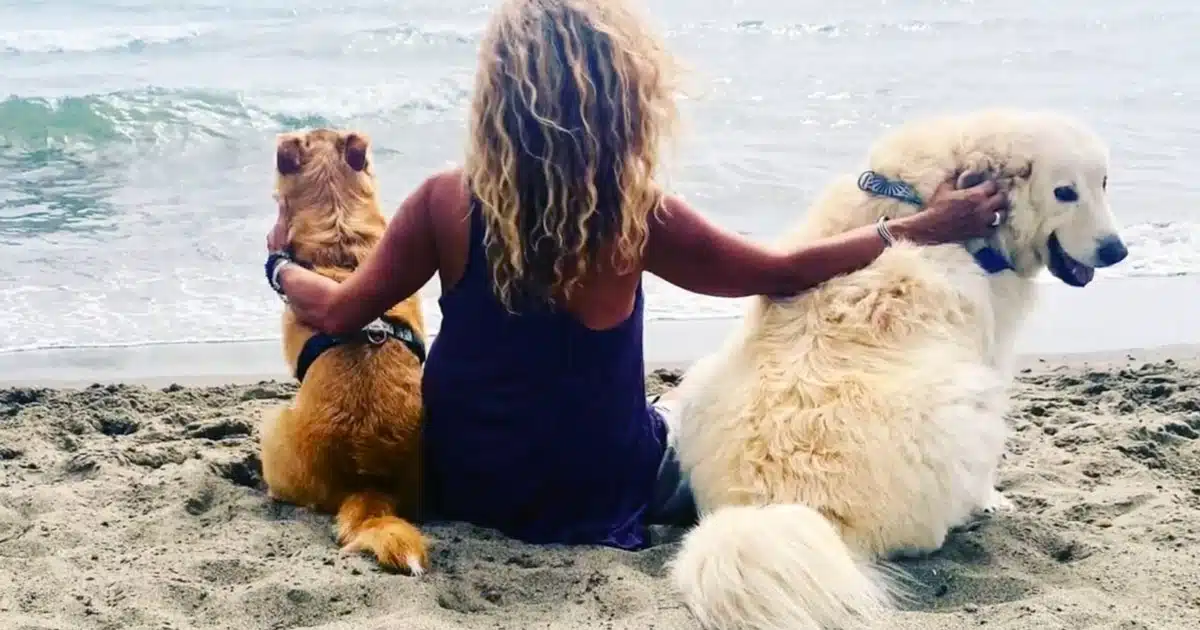 baubeach