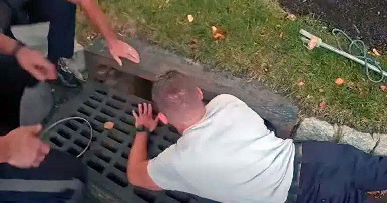 cane cade in un tombino salvato dalla polizia