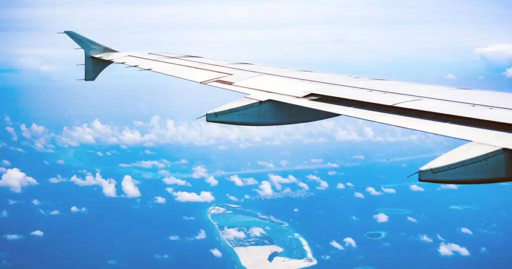 cani in aereo ryanair dice no