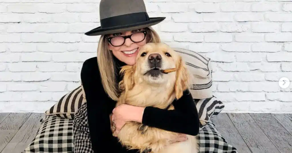 diane keaton e i cani