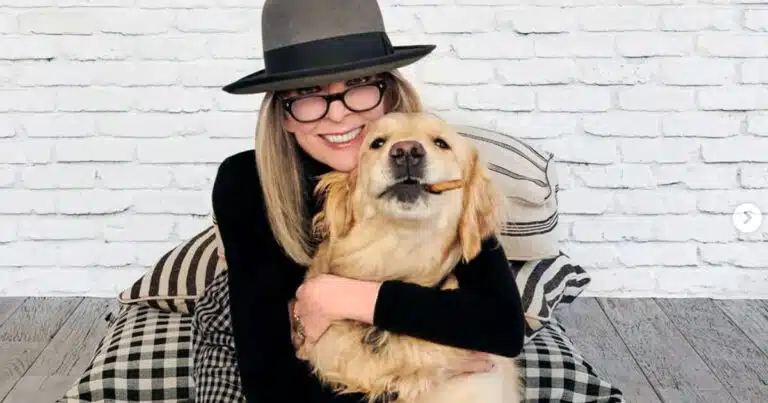 diane keaton e i cani