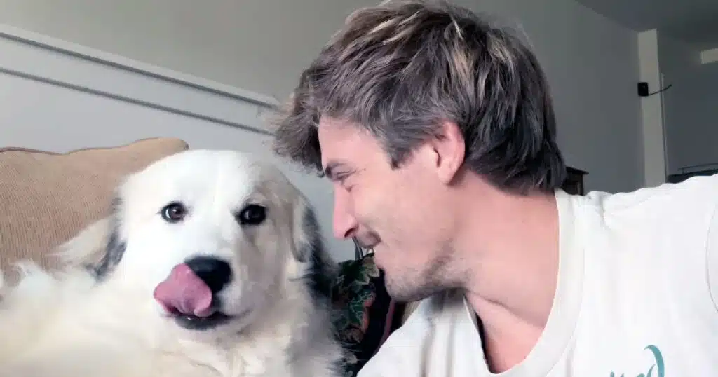 lo sbadiglio è contagioso anche per il cane? il video