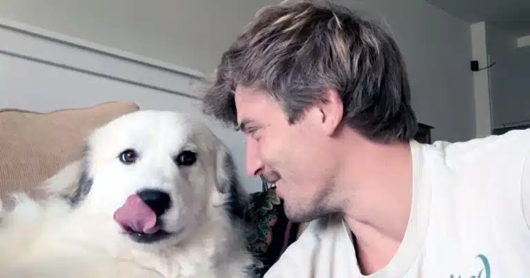 lo sbadiglio è contagioso anche per il cane? il video