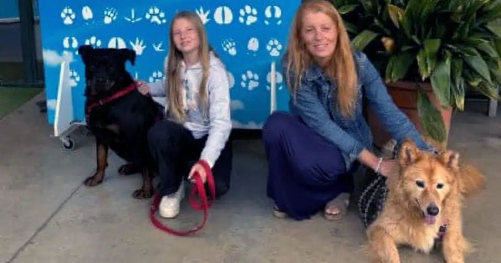 Michela Vittoria Brambilla adotta due cani anziani