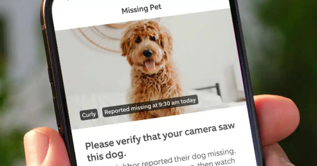 Ring Search Party: l'intelligenza artificiale in aiuto dei cani smarriti