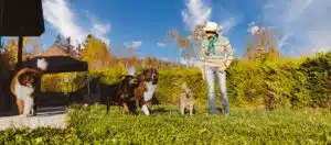 natalia estrada cani cavalli ranch intervista