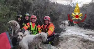 aggius cane salvato vigili fuoco