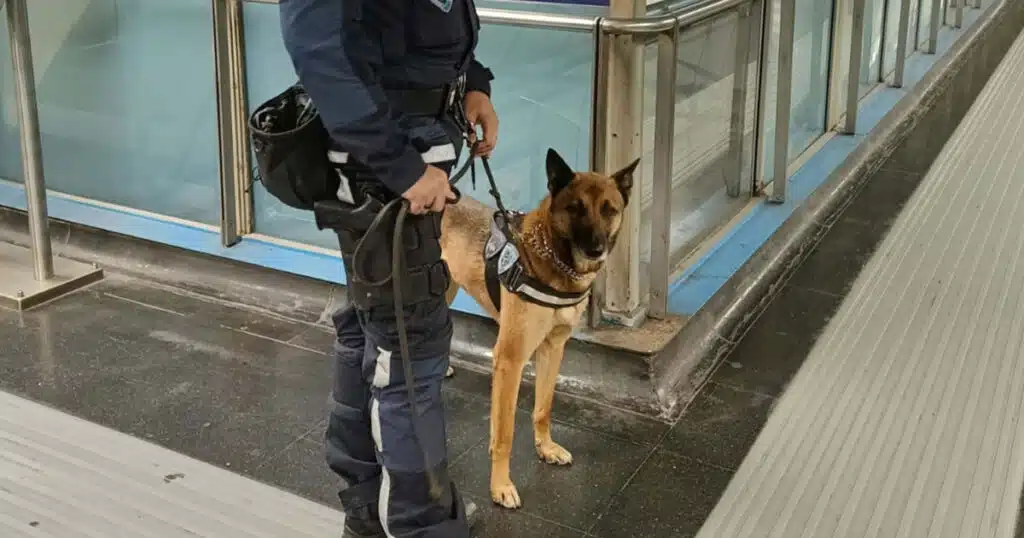 Cane antidroga fiuta 20 kg di stupefacenti in metropolitana
