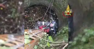 cane cade in un pozzo a genova